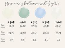 Load image into Gallery viewer, Surf's Up Balloon Kit