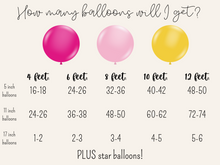 Load image into Gallery viewer, Princess Peach Balloon Kit