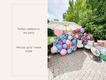 Load image into Gallery viewer, The Dani Collection Balloon Kit