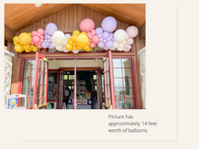 Load image into Gallery viewer, Spring Balloon Kit