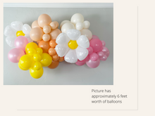 Load image into Gallery viewer, Daisy Balloon Arch Kit