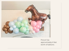 Load image into Gallery viewer, Horse Balloon Kit