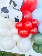 Load image into Gallery viewer, Barnyard Balloon Kit