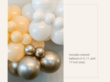 Load image into Gallery viewer, Blush Balloon Kit