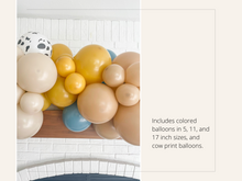 Load image into Gallery viewer, Retro Toy Story Balloon Kit