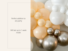 Load image into Gallery viewer, Blush Balloon Kit