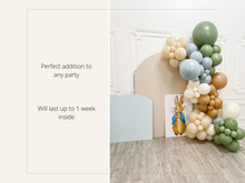 Load image into Gallery viewer, Peter Rabbit Balloon Kit