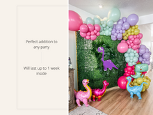 Load image into Gallery viewer, Girl's Dino Balloon Kit