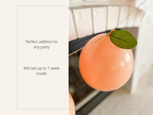 Load image into Gallery viewer, Sweet as a Peach Balloon Kit