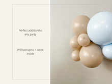 Load image into Gallery viewer, Trip Around the Sun Balloon Kit