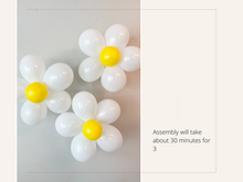 Load image into Gallery viewer, Daisy Flower Balloon Kit