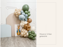 Load image into Gallery viewer, Peter Rabbit Balloon Kit