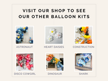 Load image into Gallery viewer, Pink Balloon Kit
