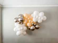 Load image into Gallery viewer, Blush Balloon Kit