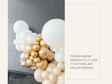 Load image into Gallery viewer, Beige Balloon Kit
