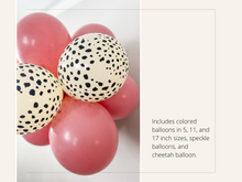Load image into Gallery viewer, Wild One Balloon Kit

