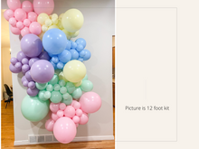 Load image into Gallery viewer, Pastel Balloon Kit
